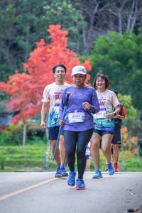 BIB: 8081, 185
                            <button type="button" onclick="openModal(19241119)" class="btn btn-primary btn-sm float-right btn-popup" data-toggle="modal" data-target=".modal-high-quality">
                        <i class="fas fa-shopping-cart"></i> Add to Cart
                    </button>
                                            <button type="button" onclick="isThisMe(19241119, true)" class="btn btn-success btn-sm float-right btn-popup btn-isme hidden" data-toggle="tooltip" data-placement="bottom" title="นี่คือรูปของคุณใช่ไหม คลิกที่นี่เพื่อเอาเข้าอัลบั้ม">
                        <i class="fas fa-plus"></i> Add to album
                    </button>
                    <button type="button" onclick="isThisMe(19241119, false)" class="btn btn-warning btn-sm float-right btn-popup btn-isnotme hidden">
                        <i class="fas fa-ban"></i> Remove from album
                    </button>